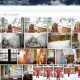 Skydrive Fetch